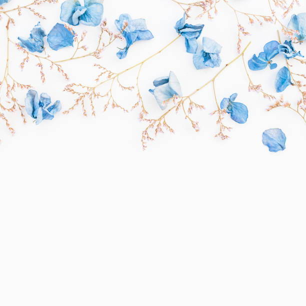 istock Frame of blue flowers isolated on background. Flat lay. Top view. 898394736