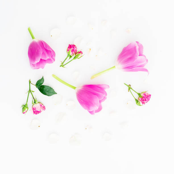 istock Pattern with pink flowers, branches and petals isolated on white background. Flat lay, Top view. Floral background. 898394830