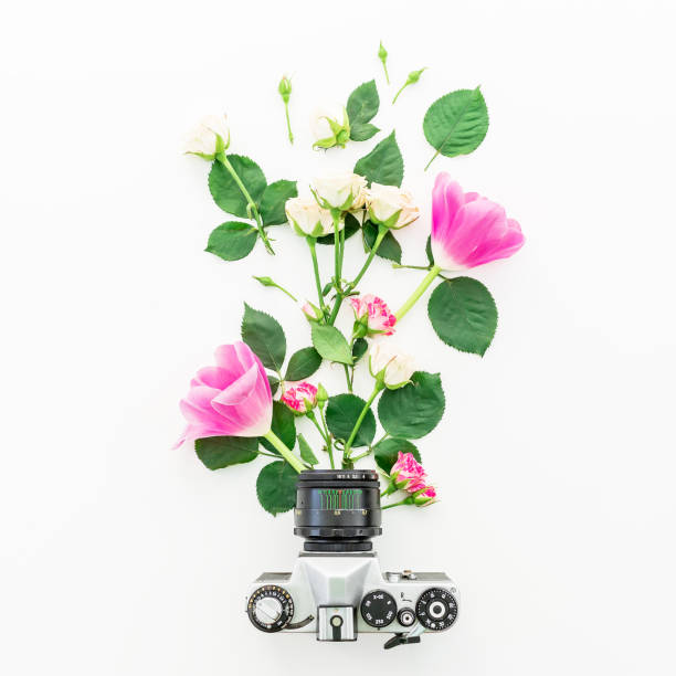 istock Old Camera and flowers isolated on white background. Flat lay, Top view 898394848