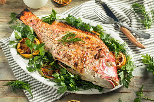 Homemade Grilled Whole Red Snapper with Lemons and Dill