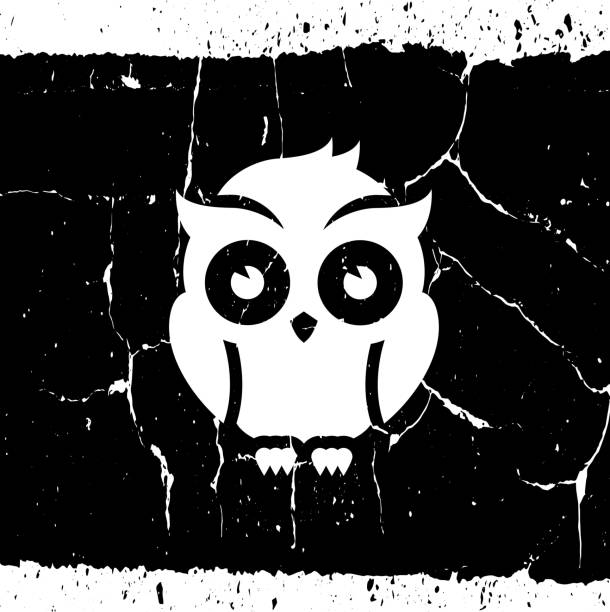 Night Owl. Night Owl.. The main icon is placed on a black grunge background. It takes up the center portion of the composition and is the main focus of this vector illustration. The icon is simple and elegant the background is detailed with cracks and specs of noise. The illustration is a 100% royalty free vector. background of a owl black and white stock illustrations