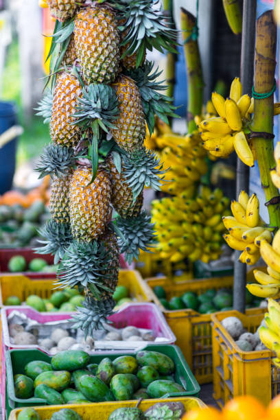 various tropical fruits selling on market