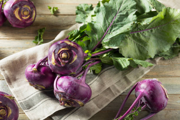 raw organic purple kohlrabi - kohlrabi imagens e fotografias de stock