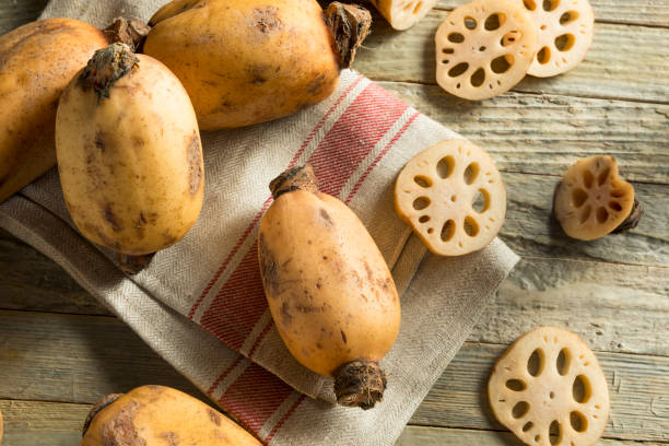 сырой коричневый органический корень лотоса - lotus root фотографии стоковые фото и изображения