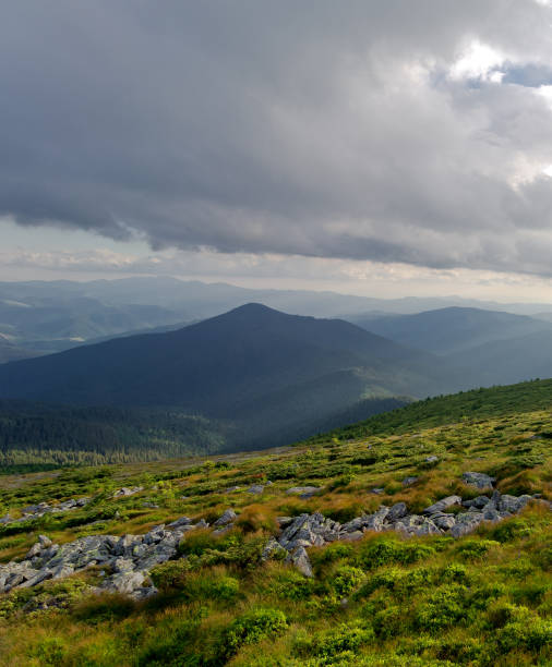 istock Mountain green valley in the Carpathian Mountains. 898407718