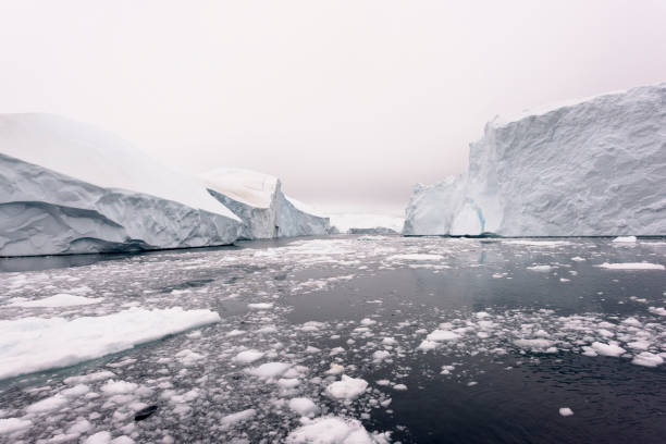 istock Arctic Icebergs on Arctic Ocean in Greenland 898409880