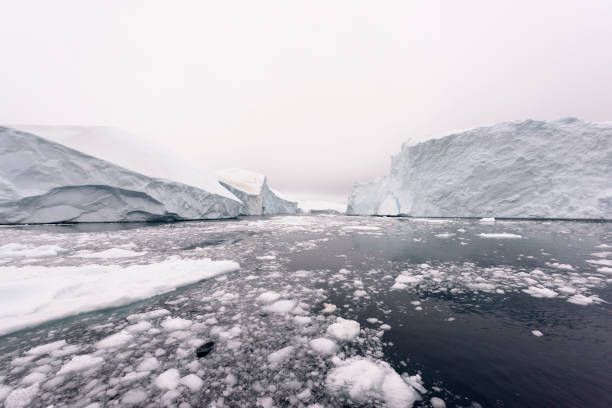 istock Arctic Icebergs on Arctic Ocean in Greenland 898410784