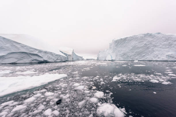 istock Arctic Icebergs on Arctic Ocean in Greenland 898410930