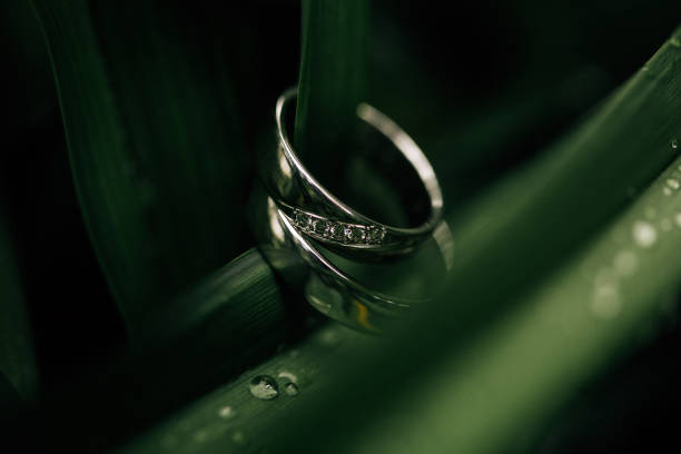 istock Wedding rings on green leaves 898411700