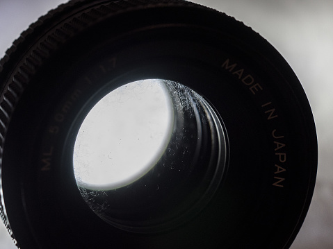 vingate lens with massive fungus