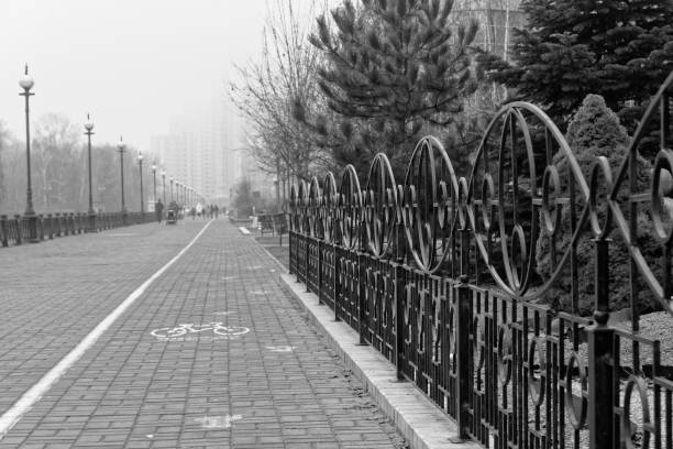 ogrodzenie ulicy we mgle, sezon jesienny, tło oświetlenia ulicznego - street light fog morning country road zdjęcia i obrazy z banku zdjęć