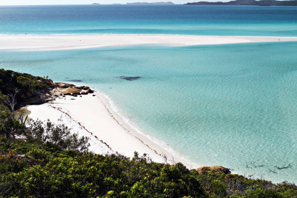 istock A beach in the Whitsundays, Queensland, Australia 898425068