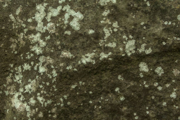 istock Relief and texture of the stone 898425576