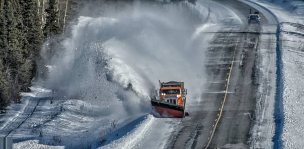 schnee pflug - forest tundra stock-fotos und bilder