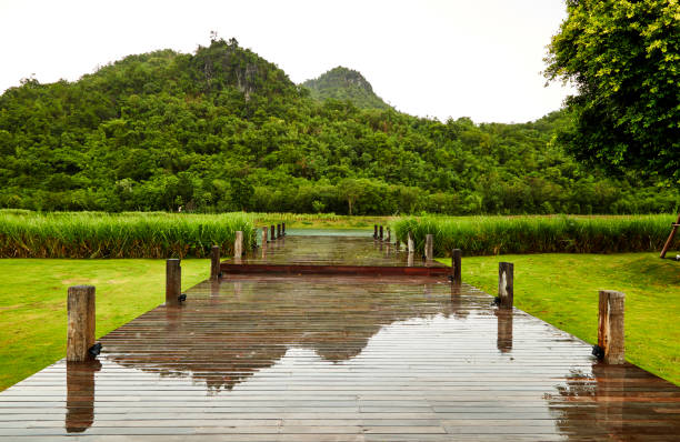 istock Mountain pond, wooden bridge in the rainy 898434412