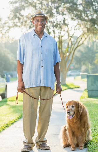 A senior African-American man out for a walk in his residential neighborhood with his dog, a golden retriever.