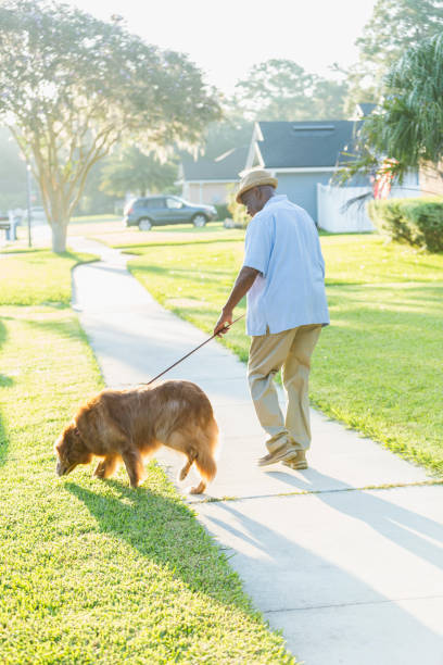 istock Senior African-American man walking his dog 898439508