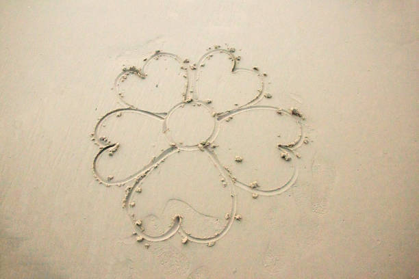 istock drawing flower on sand on beach 898441590
