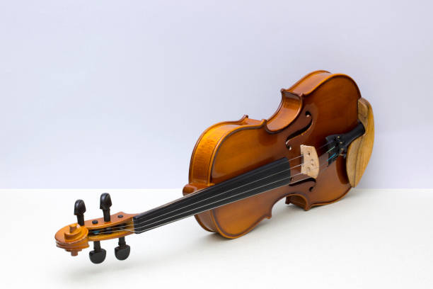 istock Musical instrument violin on a gray background 898446446
