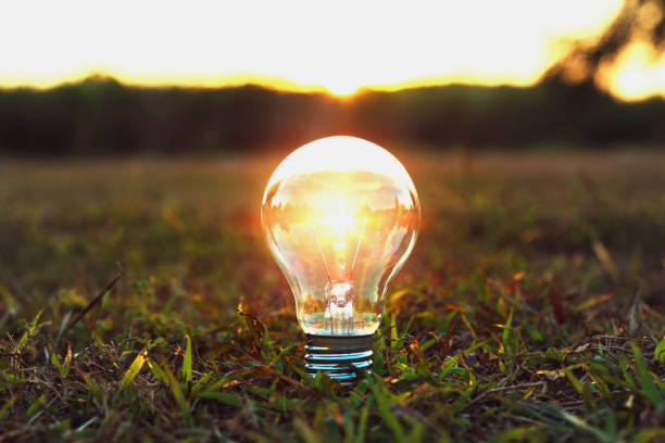 istock Idea concept light bulb standing on grass and sunset in nature 898446560