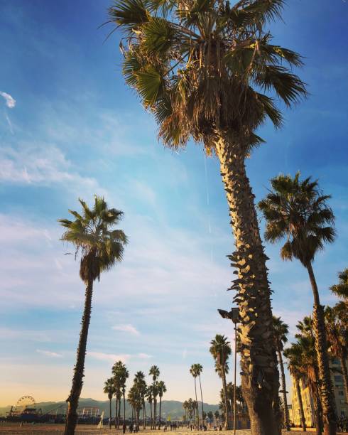 istock Santa Monica boardwalk, California, USA 898447030