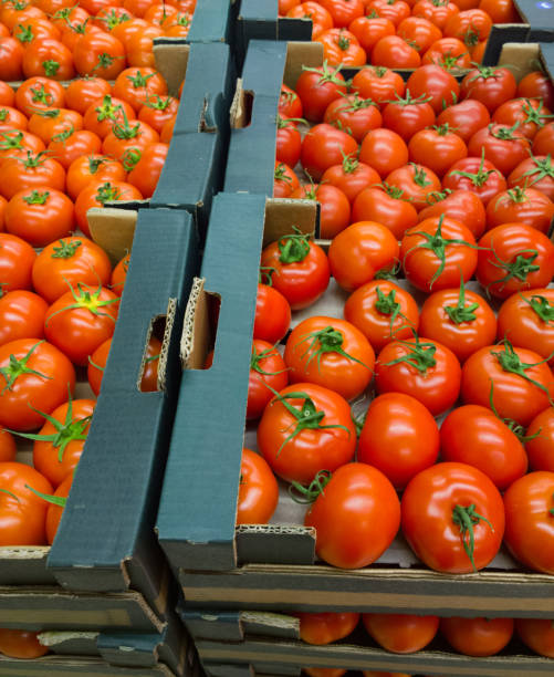 istock Fomatoes in the supermarket. 898447532
