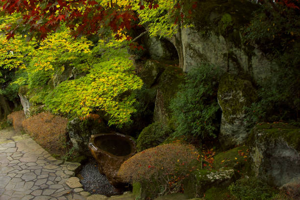 Hakone Museum of Art, established in 1952, is located in Gora, Hakone-machi, Kanagawa-prefecture, Japan. It's main collection is historical pottery from Jomon period to Edo period. It is also famous for Japanese garden, especially in autumn, a lot of people visit to enjoy beautiful autumn leaves there.