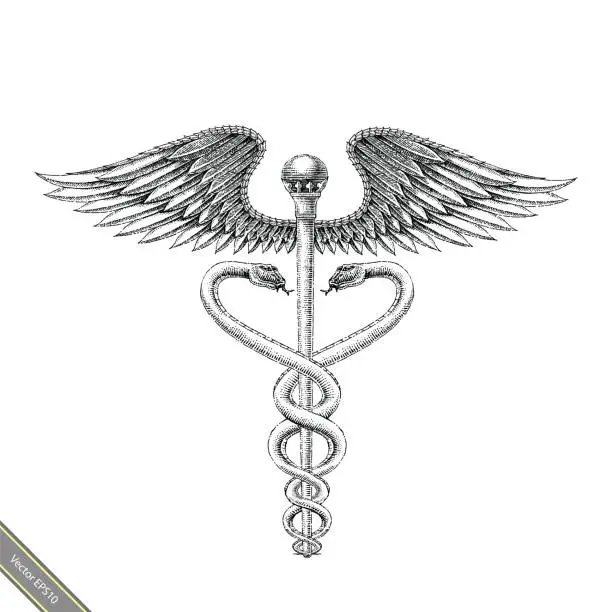 Vector illustration of Medical symbol hand drawing vintage style.Aesculapius hand drawing engraving style black and white symbol