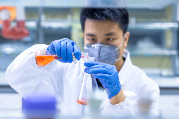 The scientist experimented in the laboratory stock photo