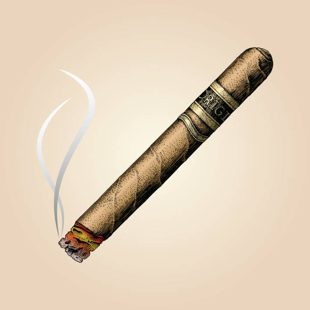 ilustrações de stock, clip art, desenhos animados e ícones de cigar hand drawing vintage style - charuto