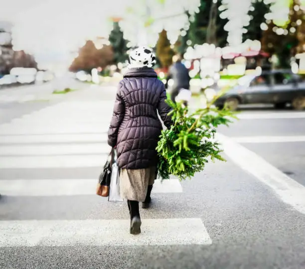 Photo of Young woman walking across the road on pedestrian crossing while carrying christmas tree in winter