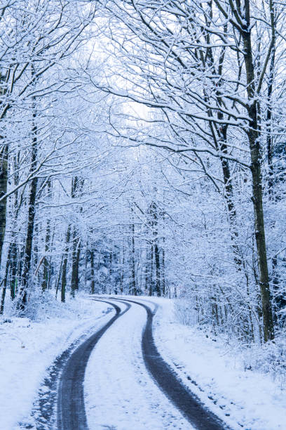 istock country road with snow 898470732
