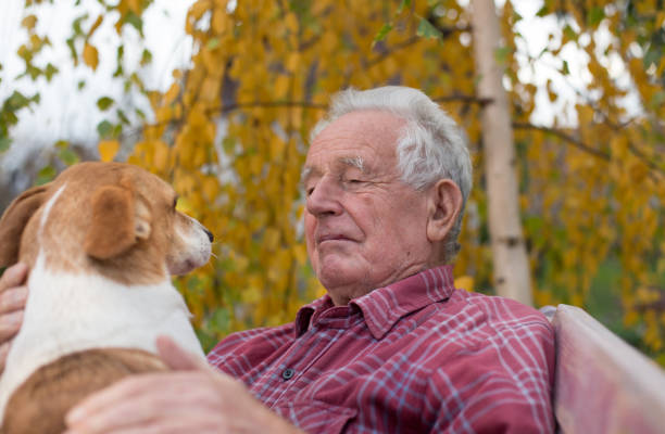istock Senior man with dog in park 898478626