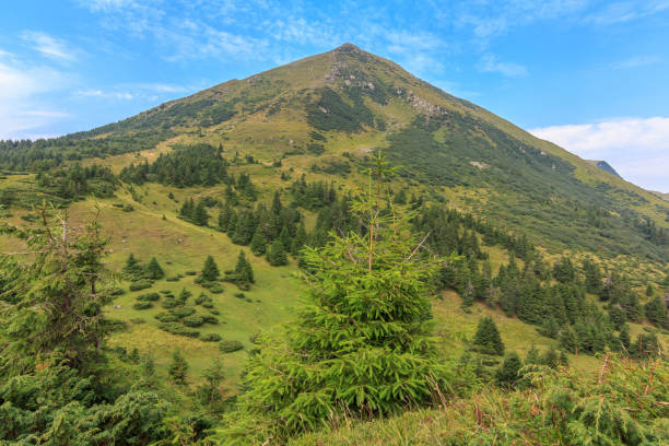 istock Mount Petros Carpathians Ukraine 898479698