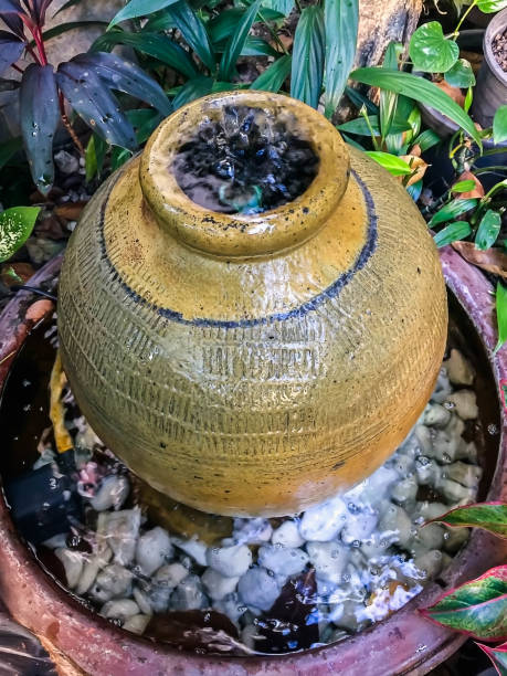 istock Watering in the garden 898482356