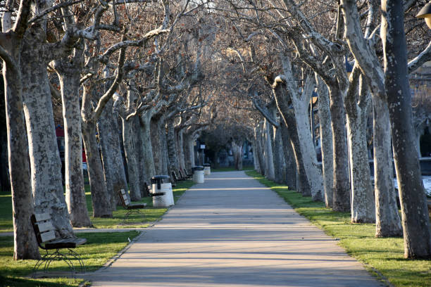 istock pedestrian street for walks 898488290