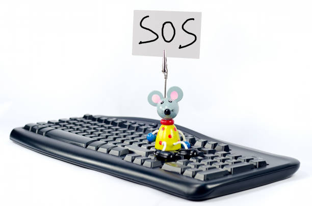 Computer Out Of Service 760+ Computer Out Of Service Stock Photos, Pictures & Royalty-Free ...