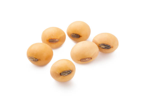 istock Close up Soybean isolated on a white background 898513494