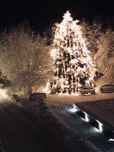 istock Illumninated Christmas tree at night in snow 898524746