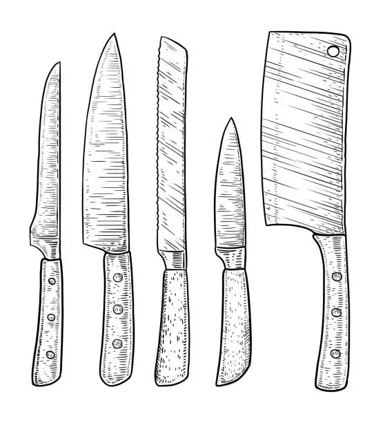 Vector illustration of Knives illustration, drawing, engraving, ink, line art, vector