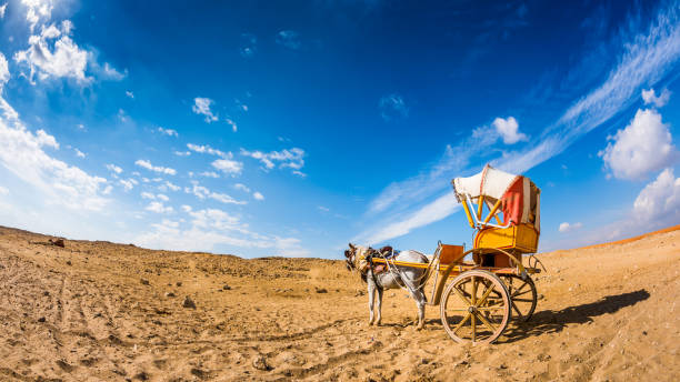 istock Horse with carriage 898530796