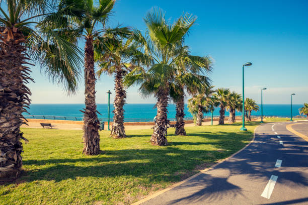 Promenade de Anglais in nice, france