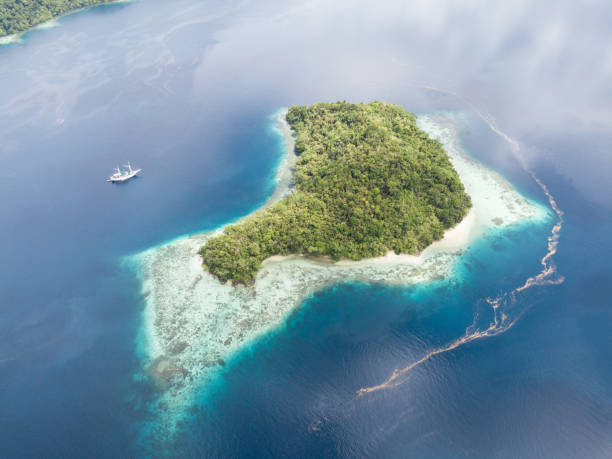 istock Tropical Island and Coral Reef in Raja Ampat 898533800