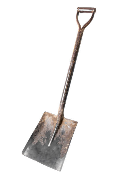 Old shovel isolated on white background.Spade isolated