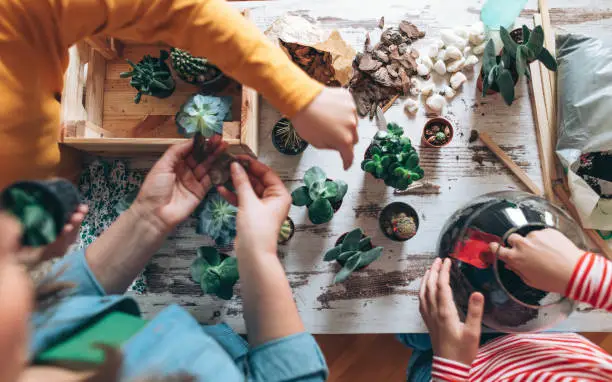 Photo of mother with children making terrarium at home