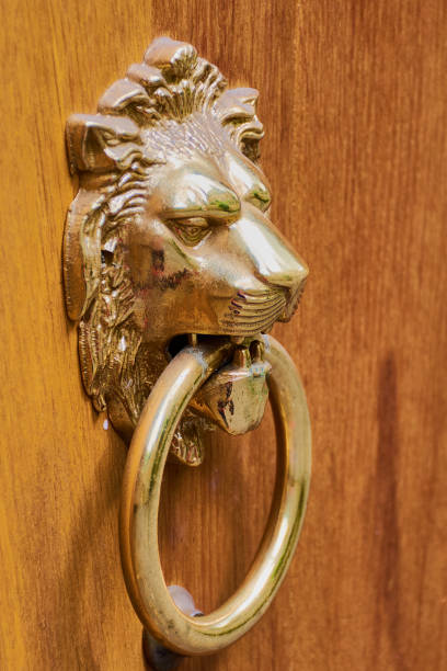 istock Lion's head as door knocker 898537904