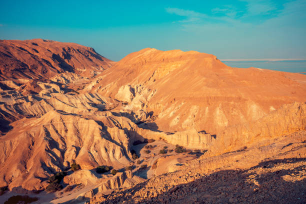 istock Desert Negev, Israel 898537944