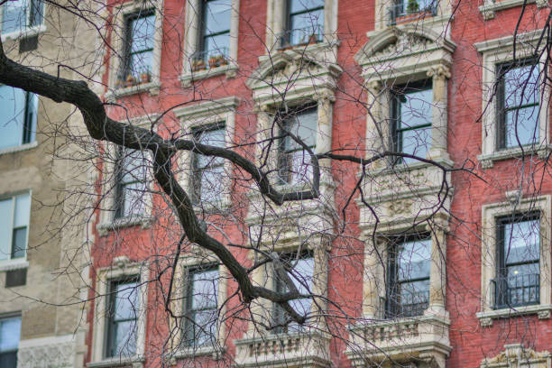 istock Manhattan buildings composed with central park trees 898541848