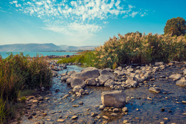 a costa do mar da galileia, perto de ein eyov cachoeira em tabgha, israel - lake tiberius - fotografias e filmes do acervo