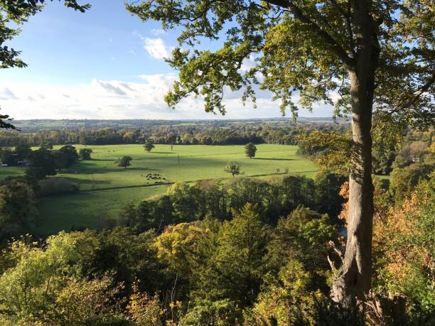 A river valley view - River Thames, Berkshire Cliveden, UK - October, 2017: A panoramic view of a river valley. The picture was taken from the high banks of River Thames on the border between Buckinghamshire and Berkshire. thames valley stock pictures, royalty-free photos & images